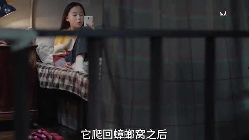 小汪姐姐爆料视频大全集,揭秘娱乐圈幕后真相